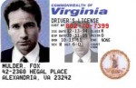 Tell us your fake id story