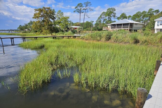 Living Shorelines 1_FDEP NWFL Aquatic Preserve-2 - Rick's Blog