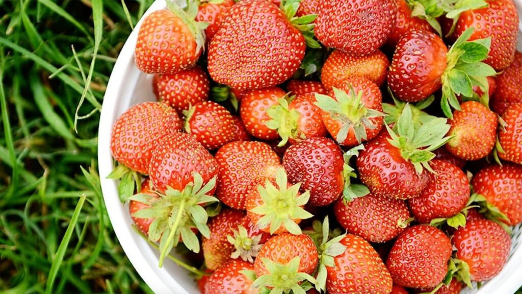 Strawberries