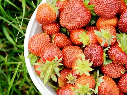 Strawberries