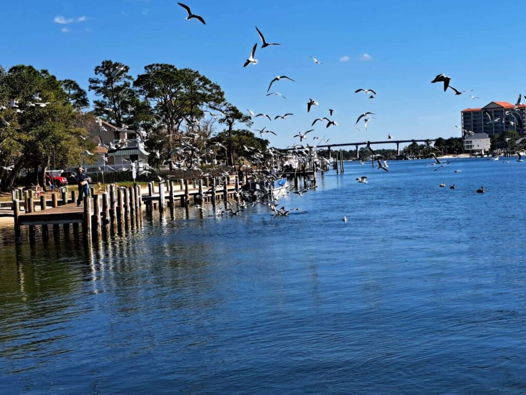 Galvez Landing 2-2 - Rick's Blog