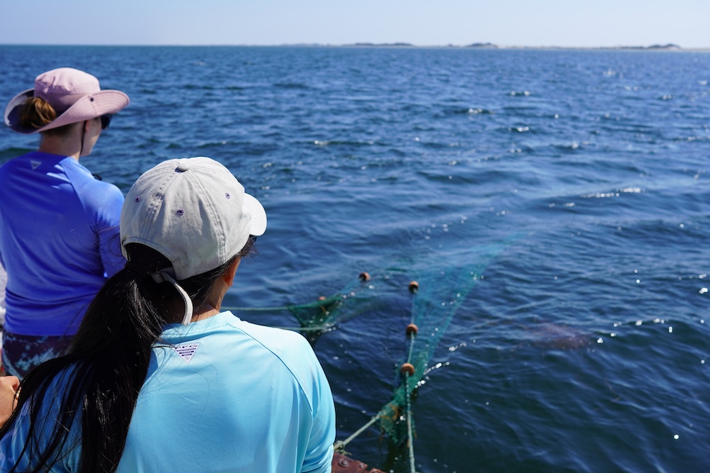 Researchers Survey Copy - Rick's Blog