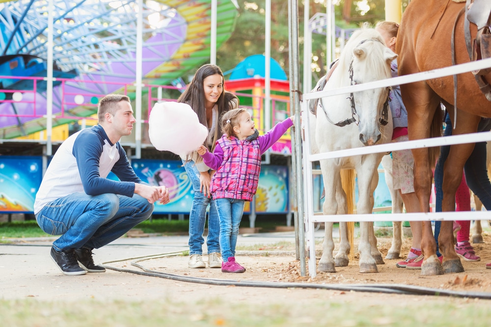 Family,with,daughter,stroking,pony,in,amusement,park - Rick's Blog