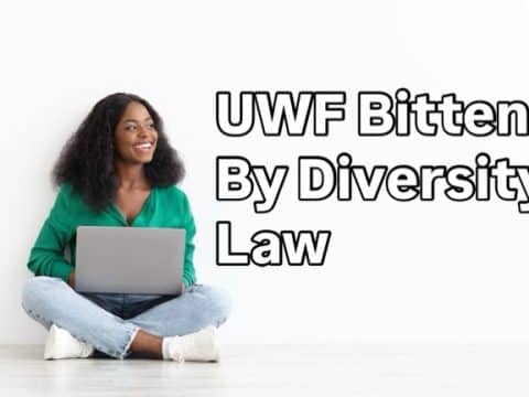 Smiling woman sitting cross-legged on the floor with a laptop; bold text to the right reads 'UWF Bitten By Diversity Law'.