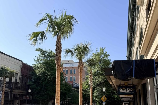 Street view with tall palm trees along a sidewalk, brick storefronts, and a hair shop sign on the right under a blue sky.