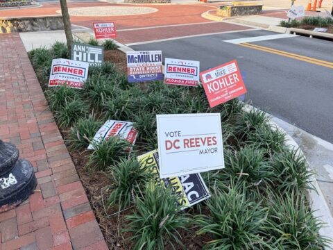 Campaign signs for local elections planted in a landscaped median by a street, including 'Vote DC Reeves for Mayor.'