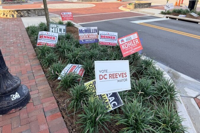 Campaign signs for local elections planted in a landscaped median by a street, including 'Vote DC Reeves for Mayor.'